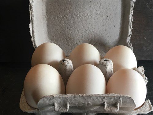EGGS, duck eggs, verified chemical free, non-GMO