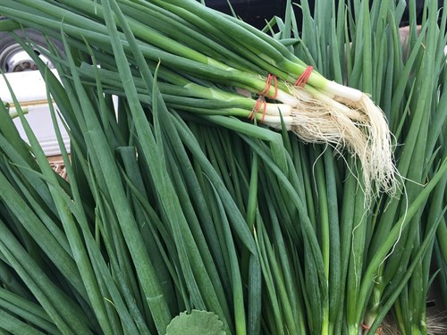 Food pantry only, green bunching onions