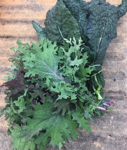 Kale YEAH!