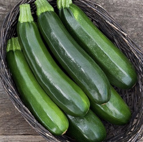 Food pantry only, Zucchini