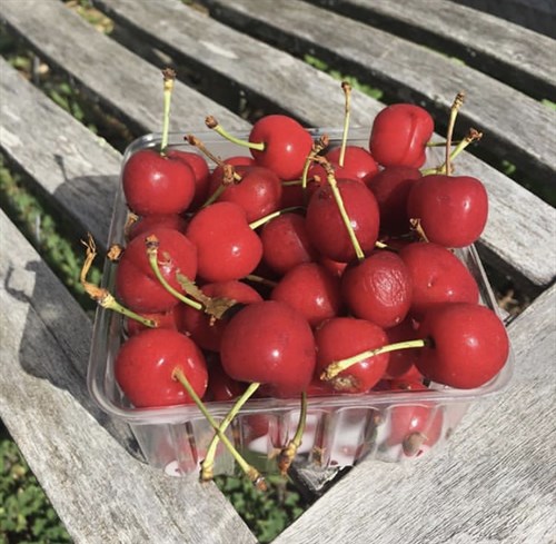 Cherries
