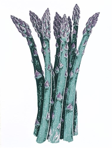Asparagus Stalks