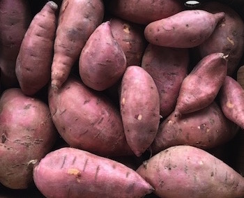 Bulk Sweet Potatoes 20#