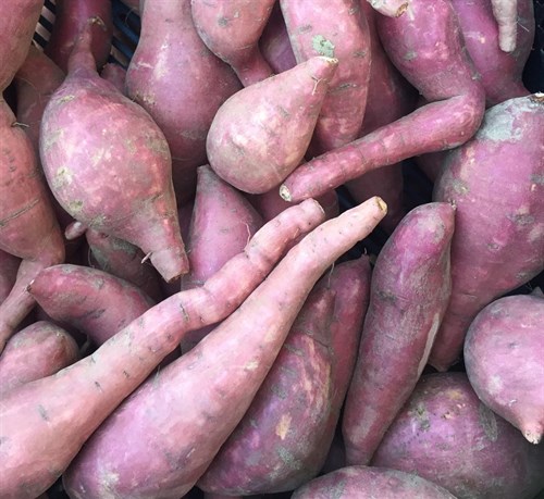 Baby Sweet Potatoes