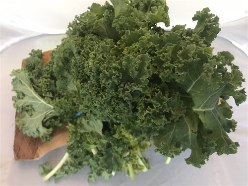 Kale, curly