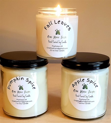 Soy Candle Mint and Eucalyptus