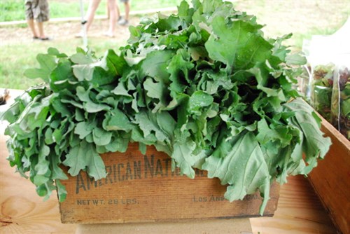 Kale