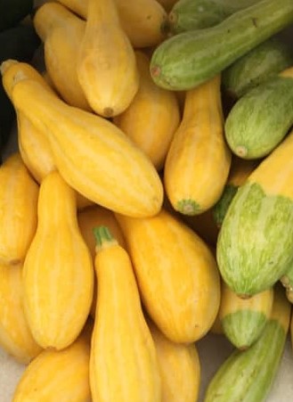 Yellow Summer Squash