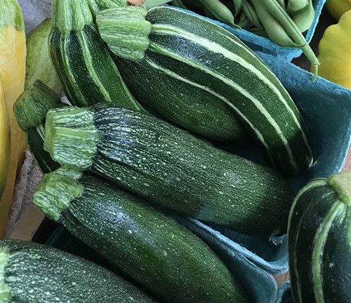Zucchini