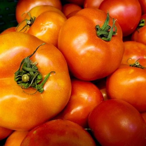 Tomatoes