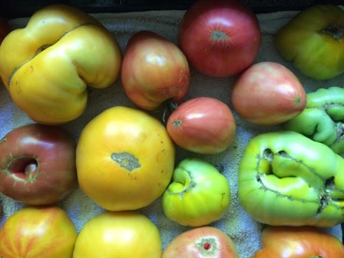 Speciality Tomato Mix
