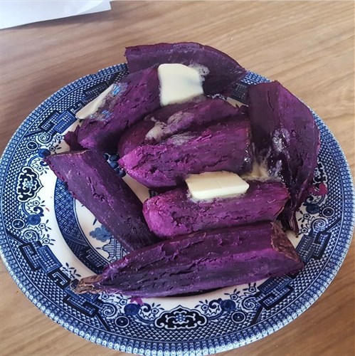 Sweet Potato Becca's Purple