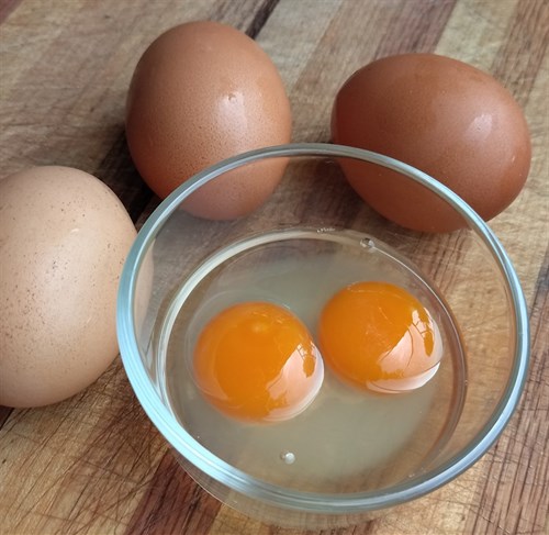 Free range eggs