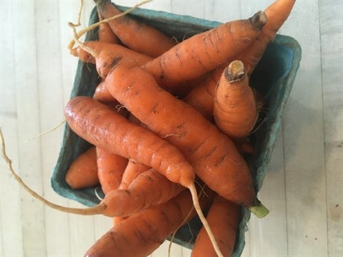 Baby Carrots