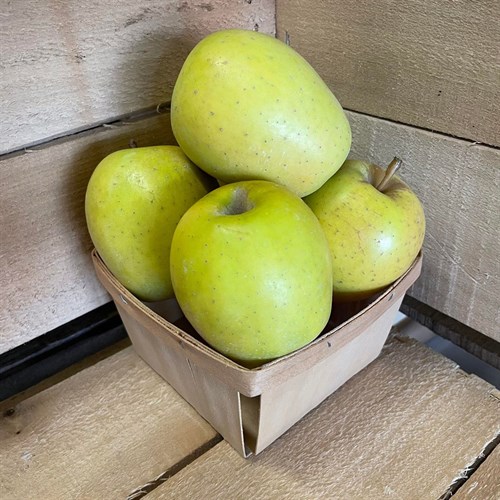 Apples- Goldrush (BFM)