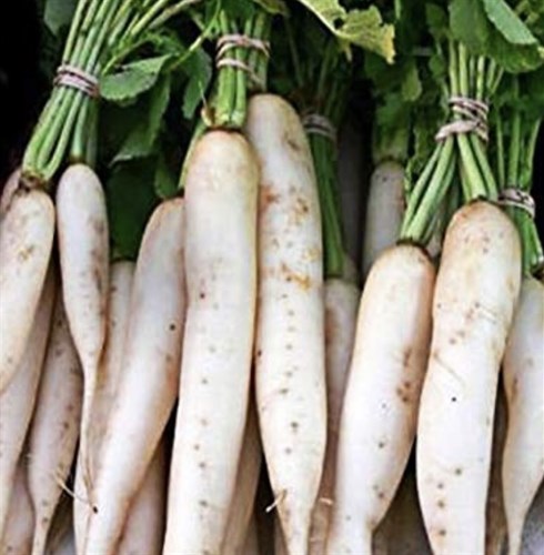 Food pantry, daikon radish