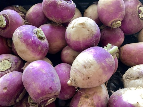 Food Pantry, turnip root