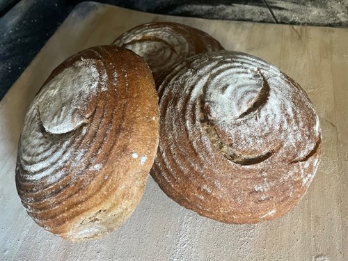 Rye Sourdough Boule'