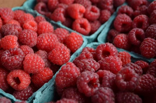 Berries: Red Raspberries