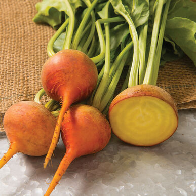 Beets, Golden