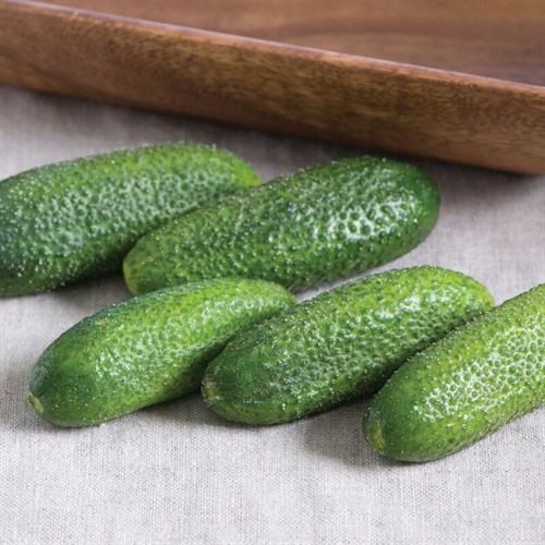 Gherkin Cucumber