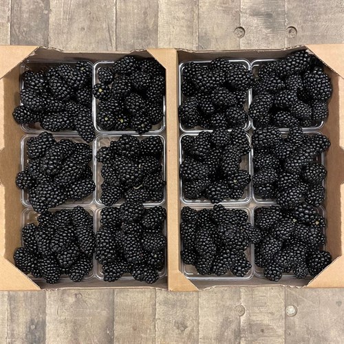 Berries: Blackberries - 12pk