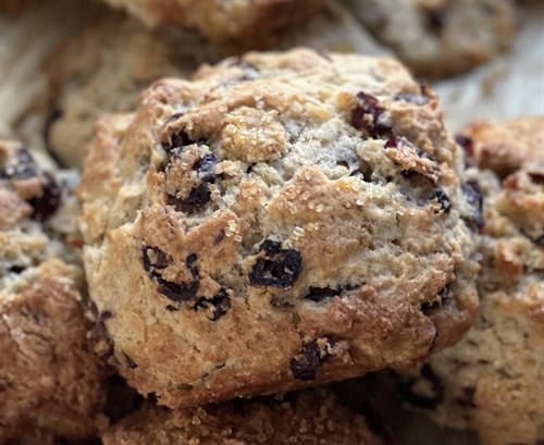 Scones - Cranberry Orange