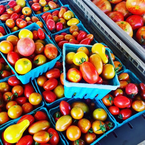 Food pantry only, cherry tomato mix