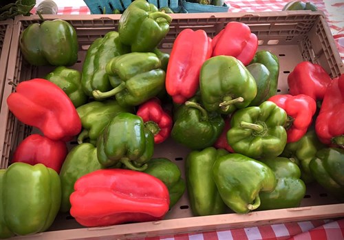 Food pantry only, sweet bell peppers