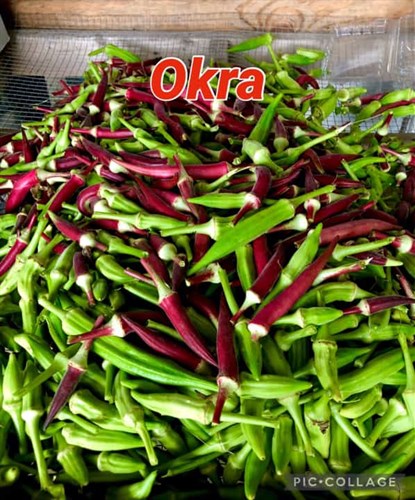 Food pantry only, Okra