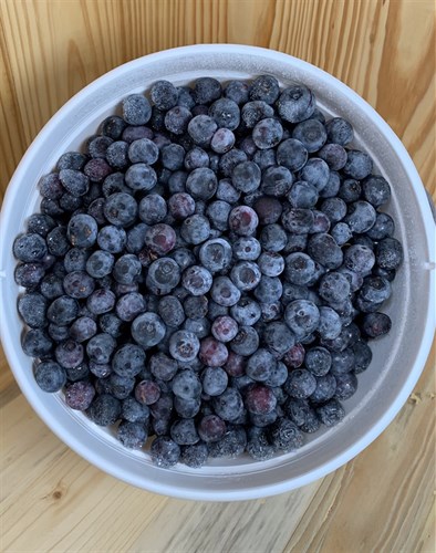 Frozen: Blueberries