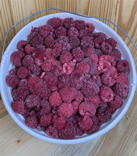 Frozen: Red Raspberries