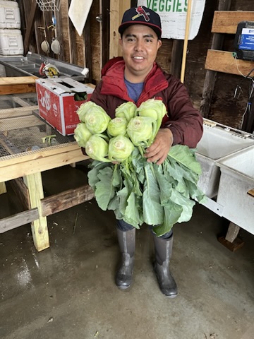 Kohlrabi