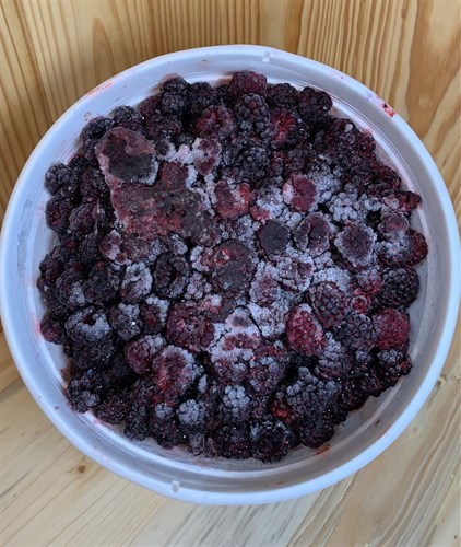 Frozen: Black Raspberries