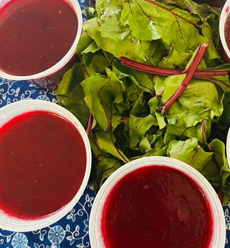 Red Beet + Fresh Dill