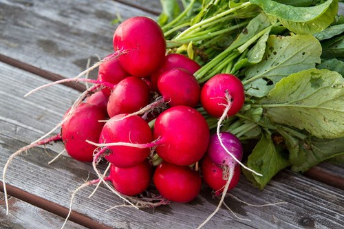 Food Pantry, Radishes