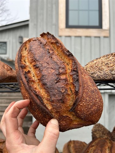 Country Sourdough