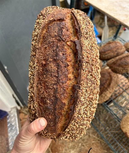 Seeded Sourdough