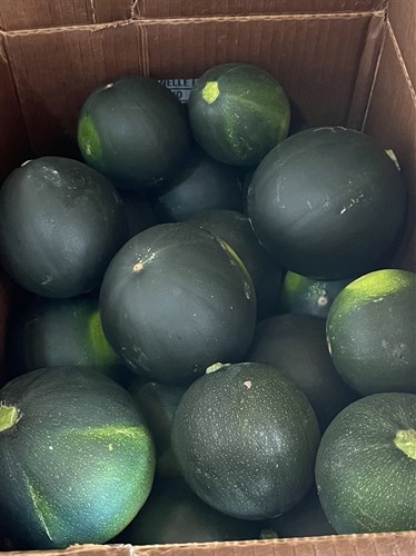 Food Pantry Only, Round Zucchini