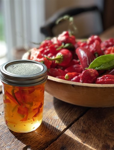 Hot Pepper Jam