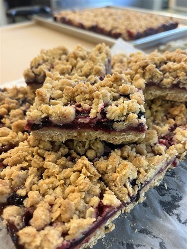 Fruit Oat Bars- Very Berry (vegan)