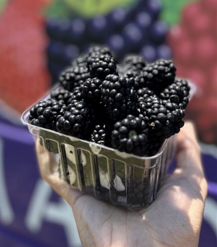 Berries: Blackberries