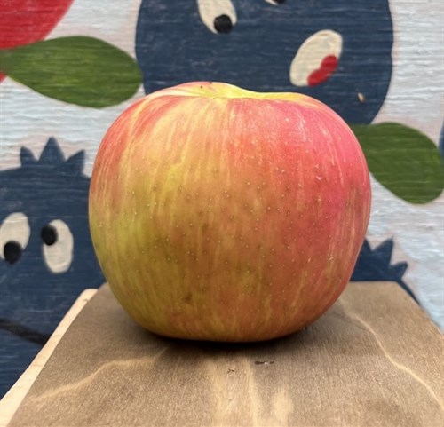 Apple: Honeycrisp