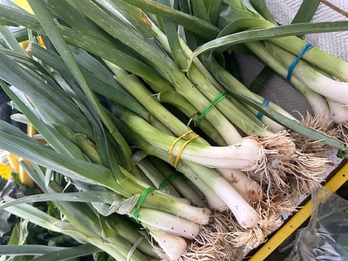 Baby Leeks
