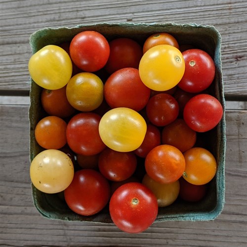 Cherry Tomato