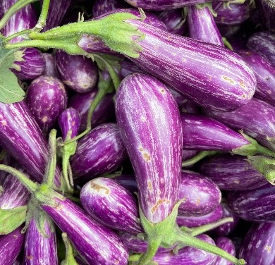 Fairy Tale Eggplant
