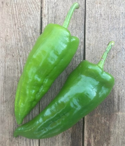 Sweet Green Peppers