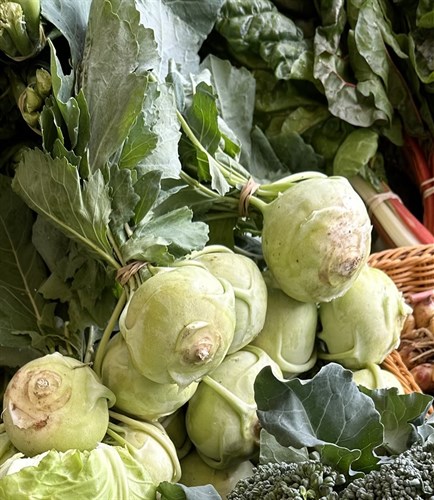 Kohlrabi