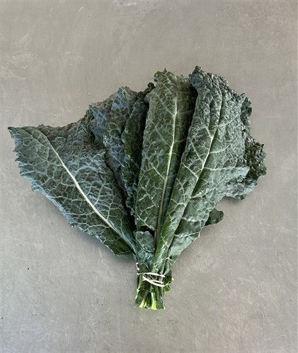 Kale, Lacinato