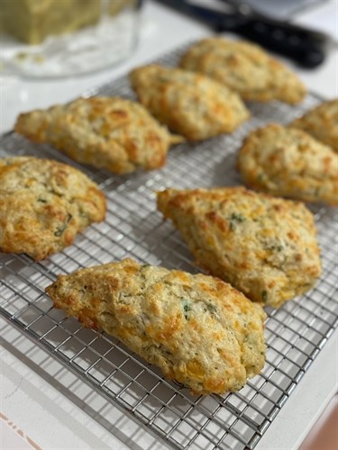 Cheddar Chive Scones